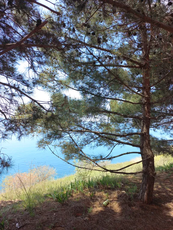 Дача в районе Царское село