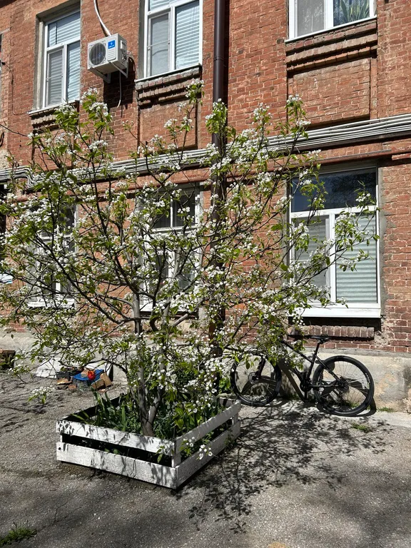 Уютная квартира в историческом центре города