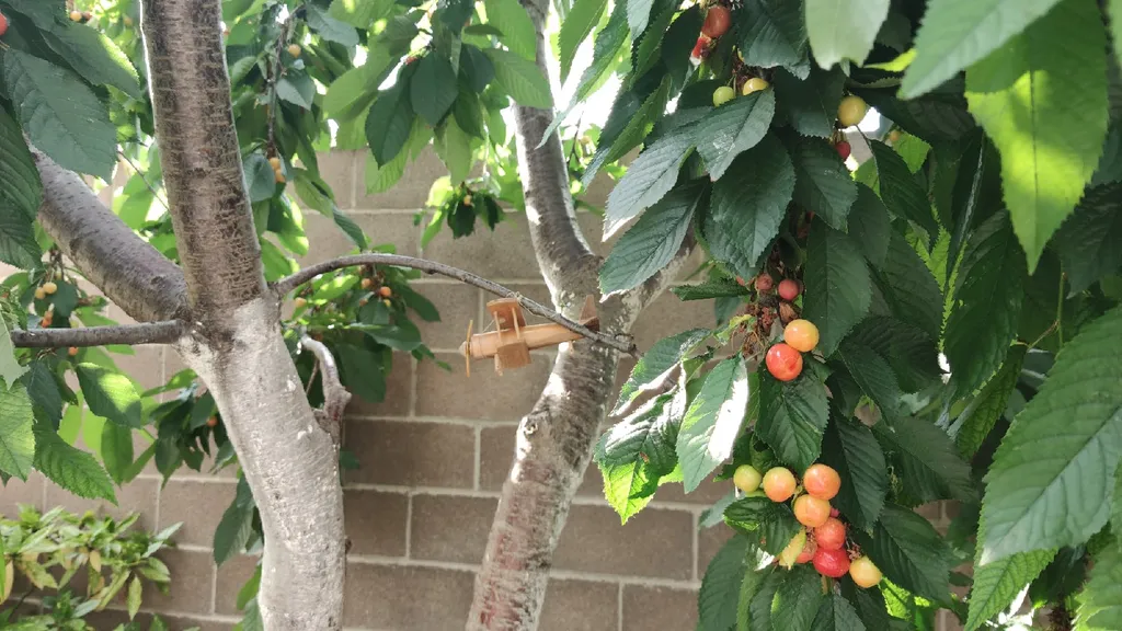 Дом вилла Надежда с видом на Владимирский собор, отдельный вход