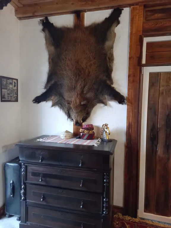 Коттедж Деревенский дом Hause & Mann — Калининград