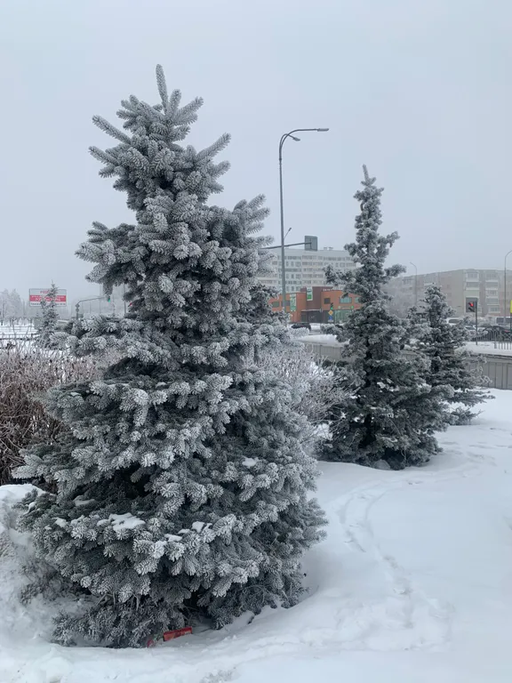Квартира Уютная квартира в центре города — Набережные Челны
