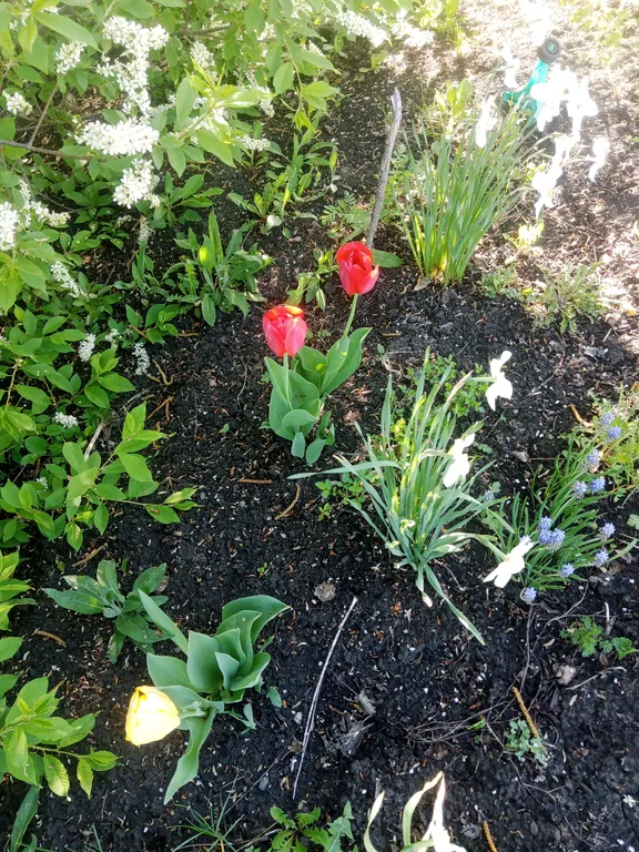 Незабываемый отдых в уютном коттедже на праздники