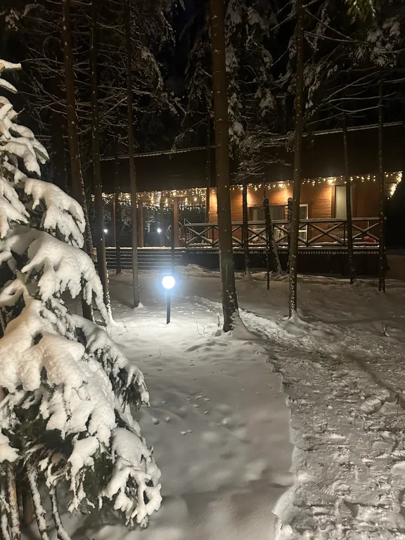 Коттедж Уютный дом с баней в лесу — аренда посуточно в Кубинка