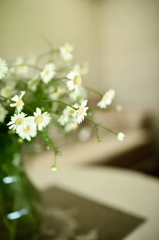 Коттедж Дом Белый Прованс — Луховицы