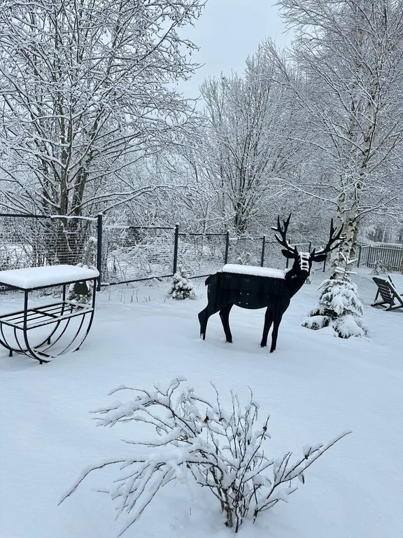 Фотодача с уникальным ярким интерьером для вашего отдыха и настроения