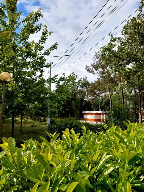 Квартира Апартаменты в Анапе на песчаном пляже — Анапа