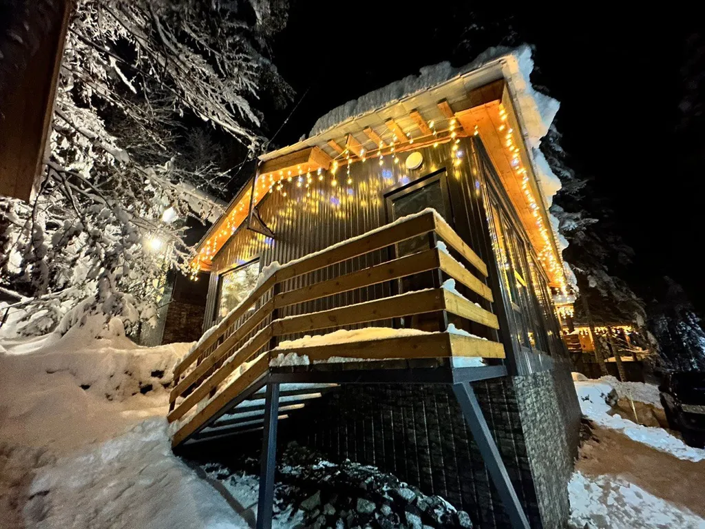 Дом шале в сосновом лесу