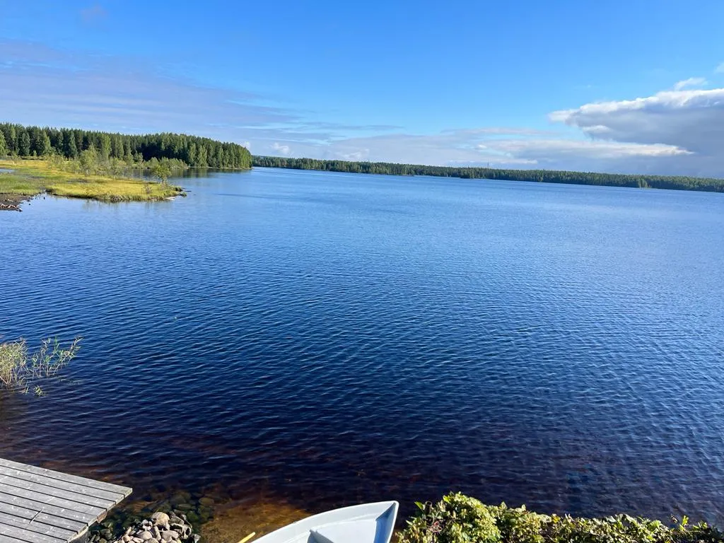 Дом на берегу озера без соседей