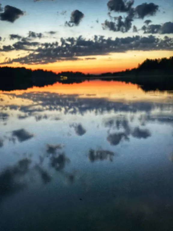 Любимый дом