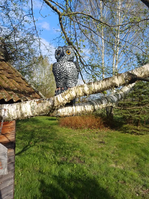 Гостевой Дом у Нерли