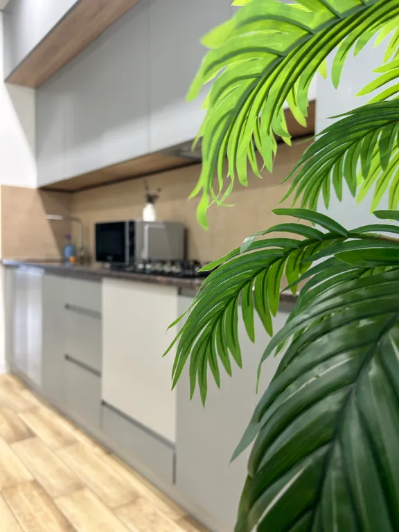 Евродвушка