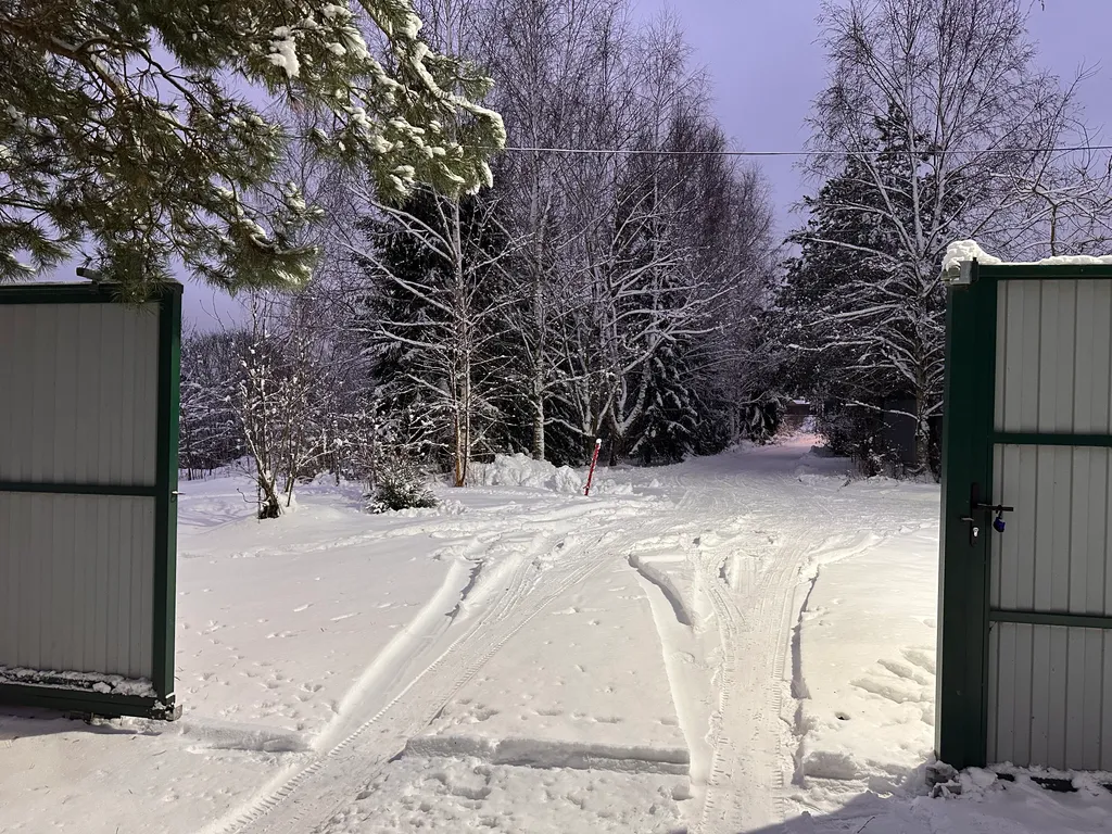 Дом в уединенном тихом месте рядом с лесом