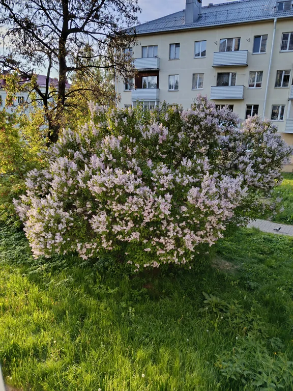 Квартира Уютная 2х комнатная квартира в тихом центре города,недалеко от вокзала — Минск