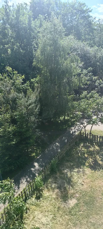 Квартира 1-к квартира на Емельянова, в городе — Калининград