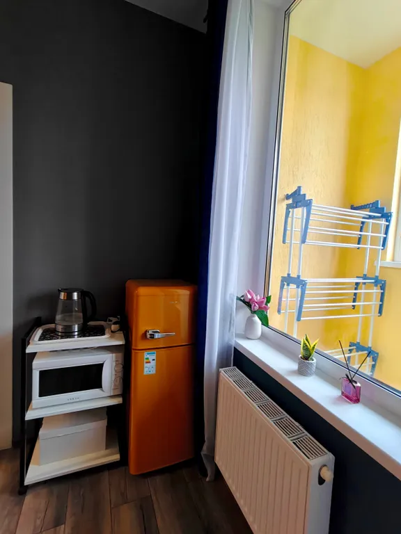 Уютная однокомнатная квартира