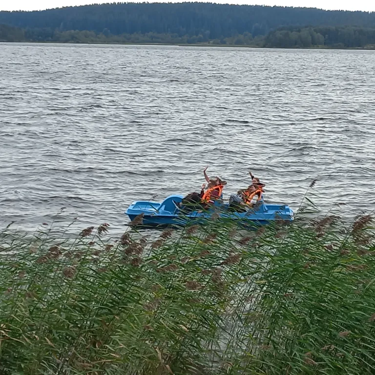 Глэмпинг Тихий каньон