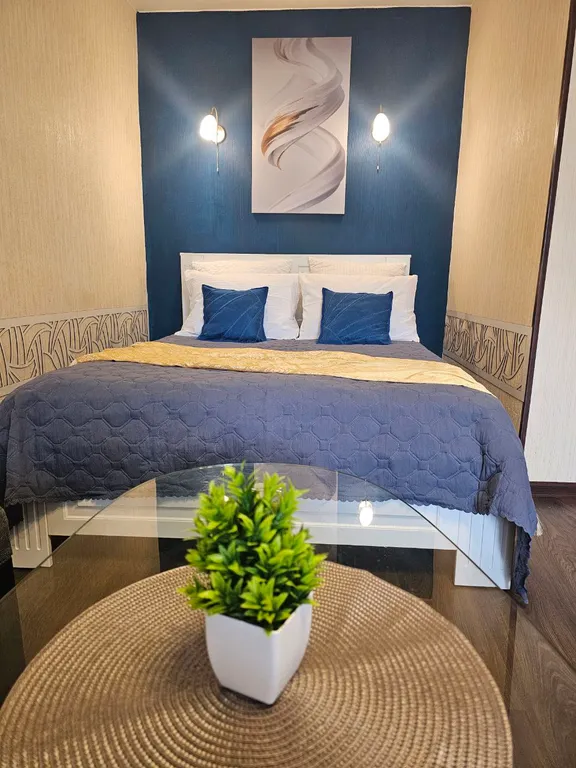 Уютная однокомнатная квартира в центре города