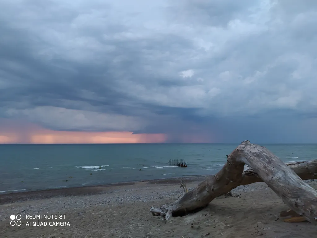 Квартира Уютная квартира с видом на лес — Светлогорск