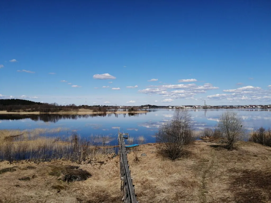 Гостевой дом Озеро и лес