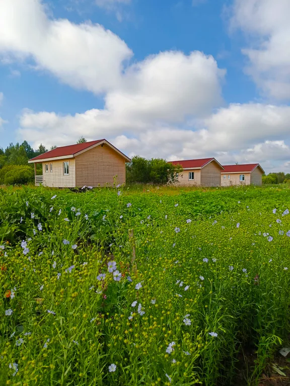 Коттедж Коттедж на базе отдыха Карловка — Чудово
