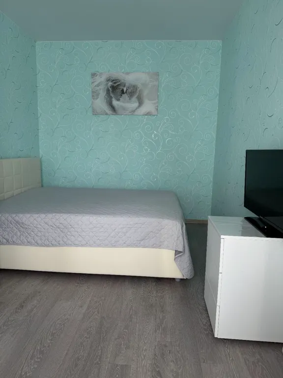 Уютная 1-комнатная квартира до 4х человек