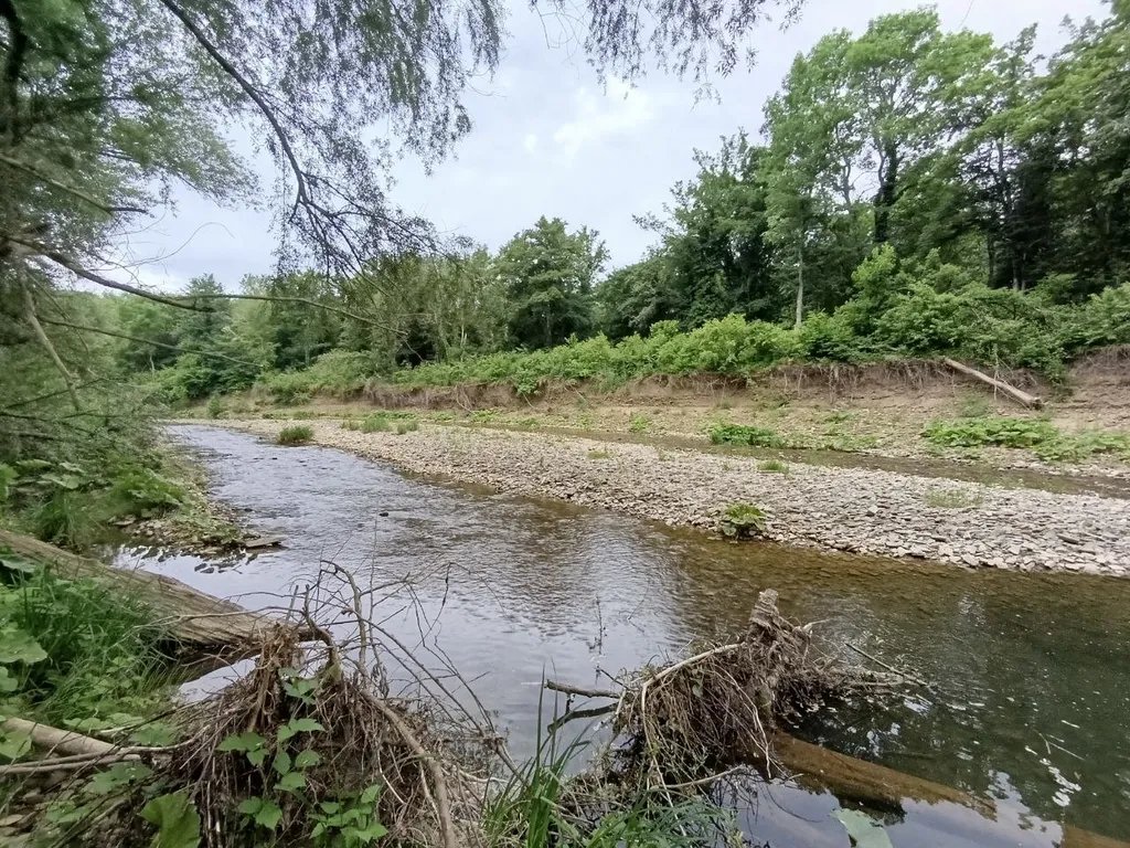 Коттедж НОРДЛИ+БРИМЭНС. Пространство для компании: два дома в лесу у реки — Горячий Ключ