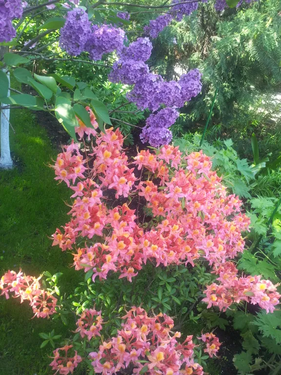 Дом в ботаническом саду