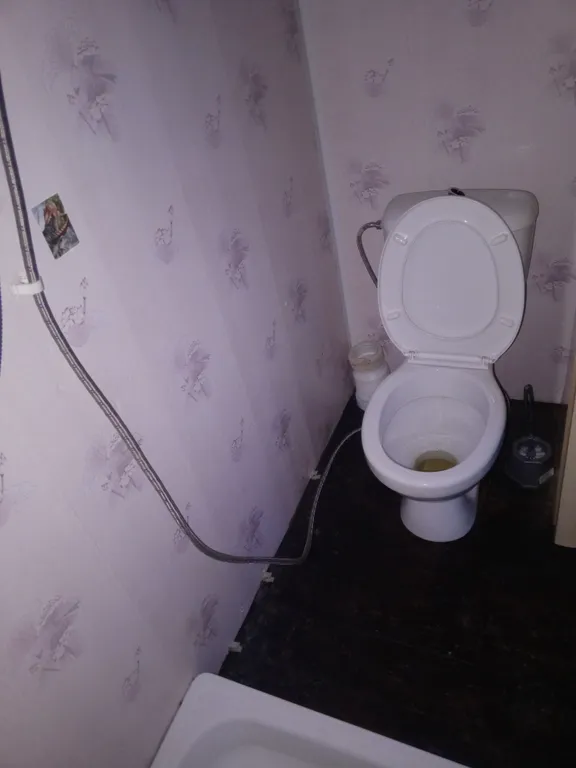 Уютный летний домик на берегу реки Ока