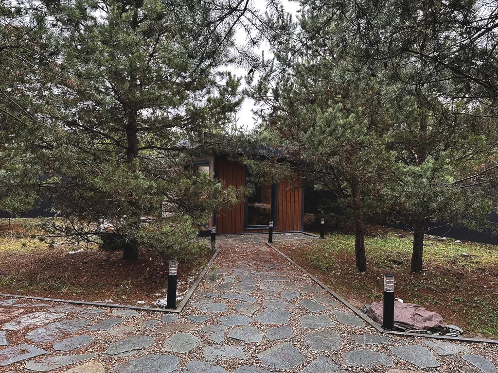 Коттедж Уютный гостевой дом с баней на дровах в сосновом лесу — Павловский Посад