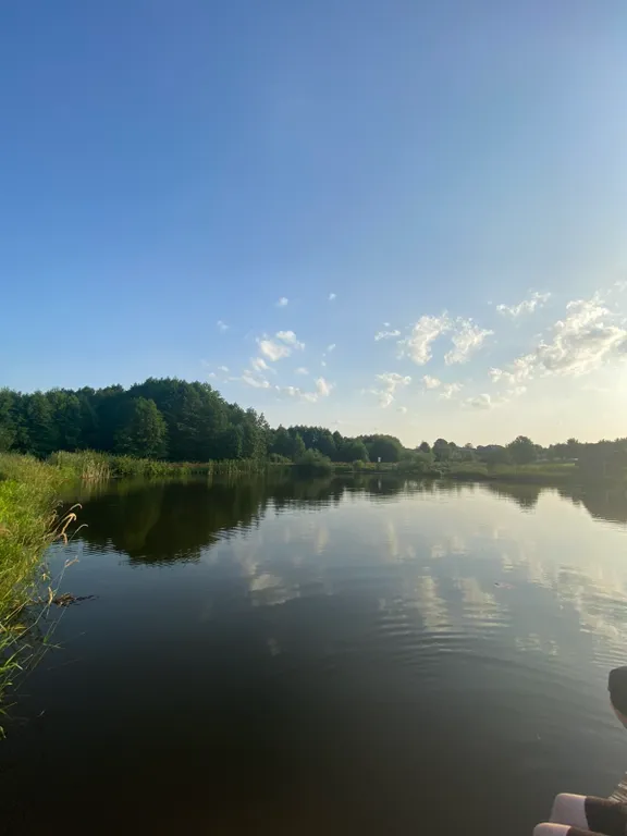 Дом мечты прямо у Минска усадьба Гринкевичи с баней, купелью и Wi-Fi