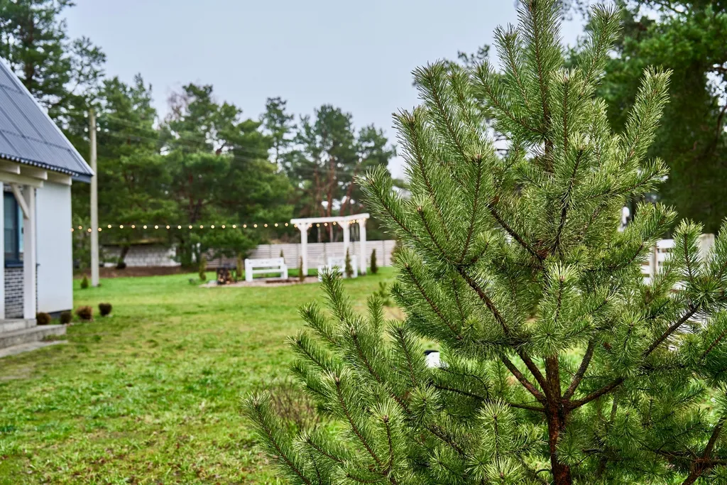 Усадьба Medna возле Бреста