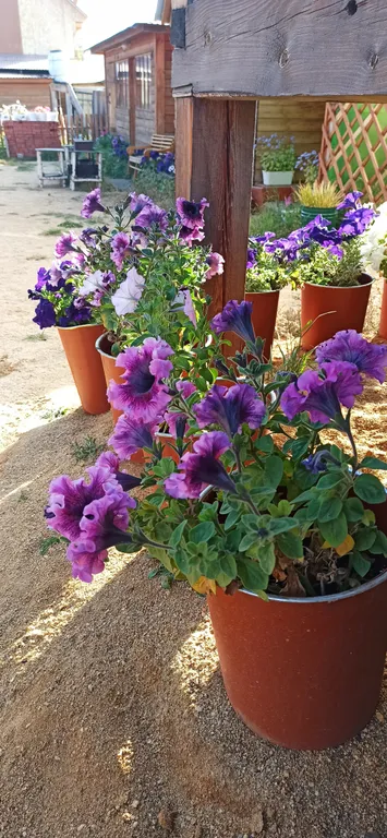 Комната с диваном