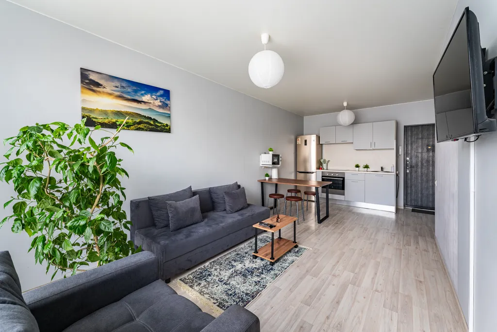 Большая евродвушка в центре