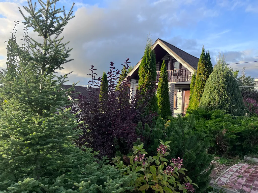 Коттедж 2-комнатный Дом — Богослово