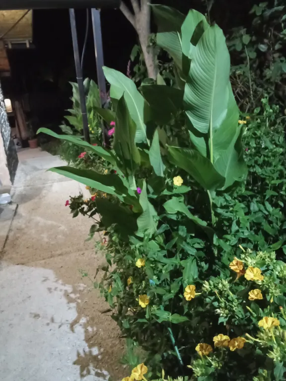 Коттедж Коттедж MoreHaus — Сочи