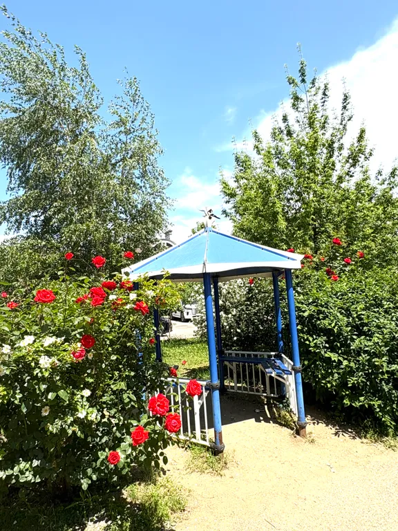 Квартира Евродвухкомнатная светлая квартира — Краснодар