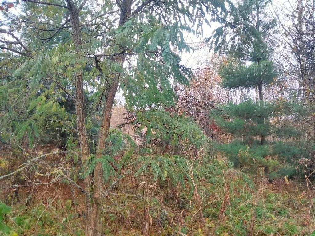 Уютный гостевой дом в поместье Большое небо в экопоселении