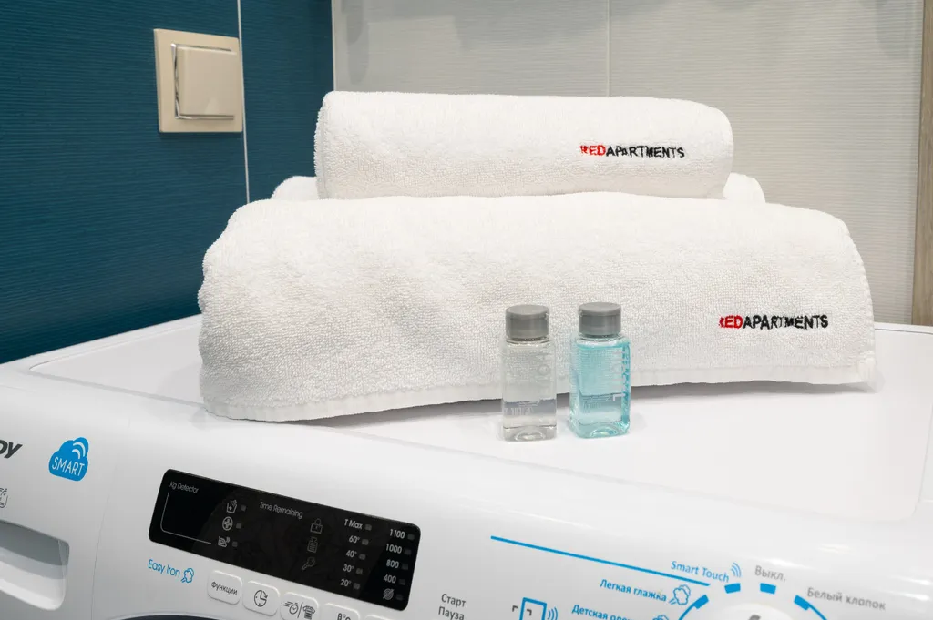 Квартира Квартира Арт Лайт Сити апартамент Дикинсон — Сириус