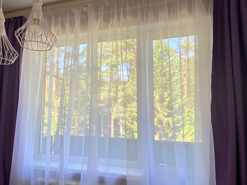 Квартира-студия с красивым видом на сосны