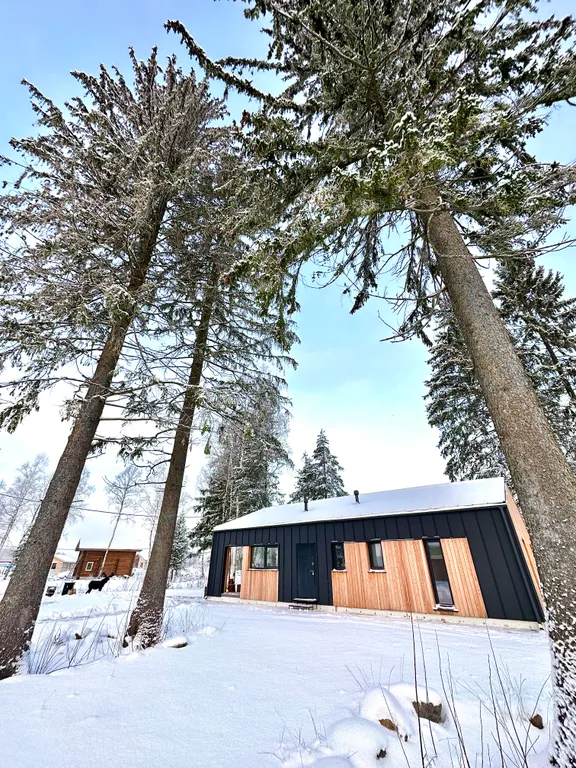 Коттедж Новые зимние дома в 5 минутах от главных горнолыжных курортов — Коробицыно