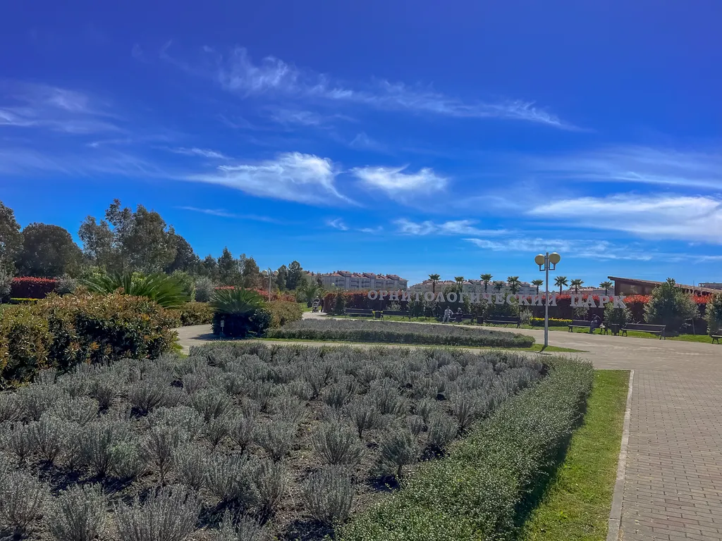 Квартира Квартира Двухуровневая студия в ЖК «Грин Сейл Парк» — Сириус