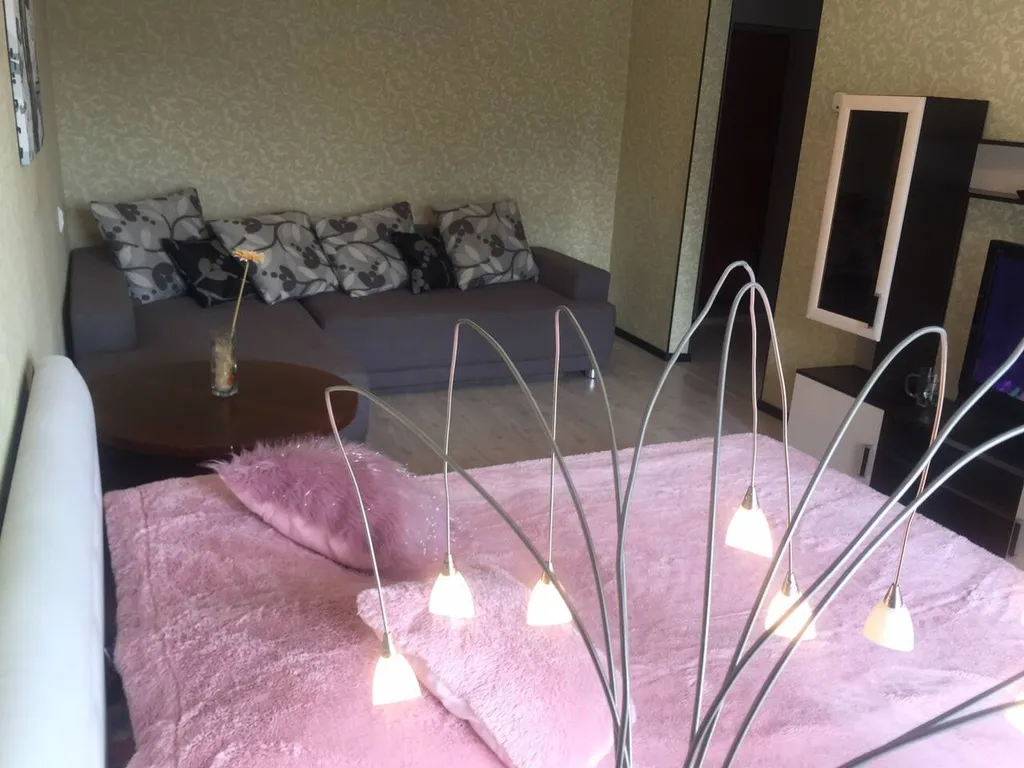 Однокомнатная квартира в центре города