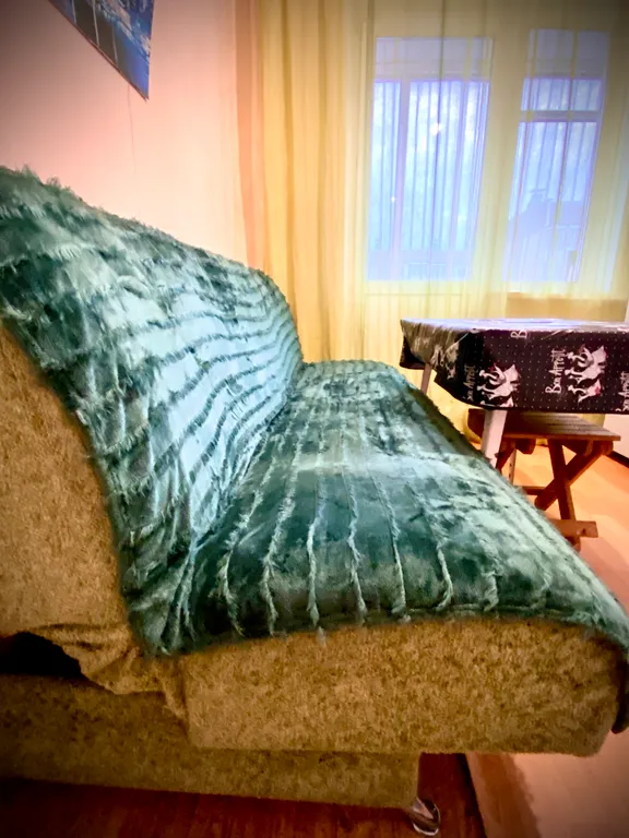 Уютная по-домашнему квартира возле Планеты