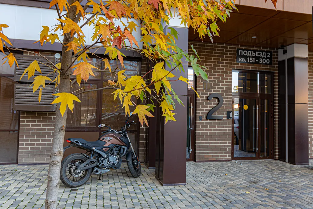 Квартира Квартира Бизнес класс в ЖК Самолет — Краснодар