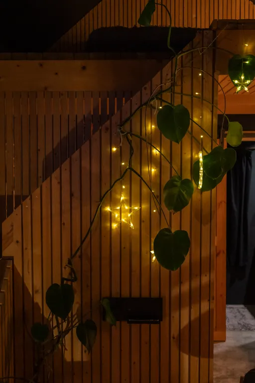 Коттедж Дом в лесу с горячей купелью — Горки (Лопухинское с/п)