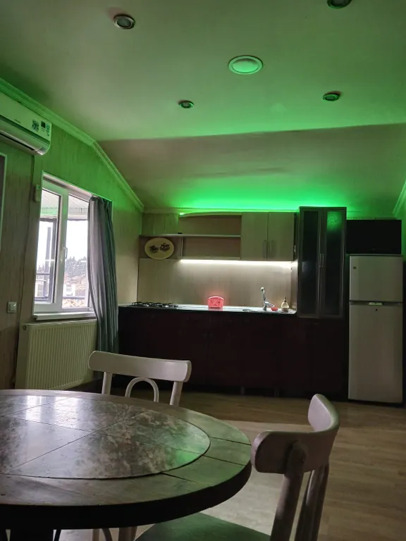 Трёхкомнатная квартира с терассой