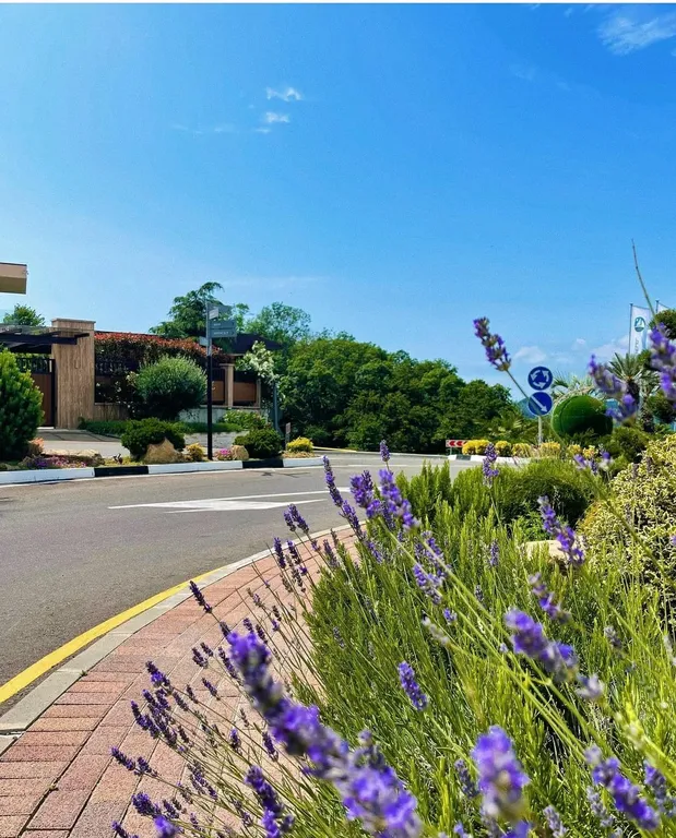 Квартира с видом на море в ЖК Лазурный берег