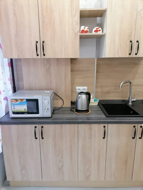 Квартира Уютные апартаменты на Тихой — Светлогорск