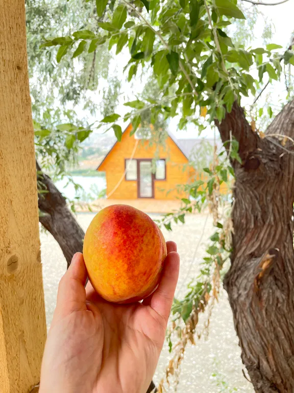 1-комнатный Дом