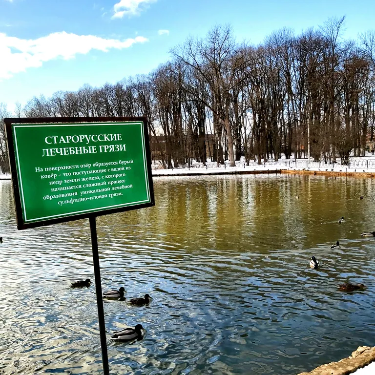 Котильон светская квартира напротив императорского курорта